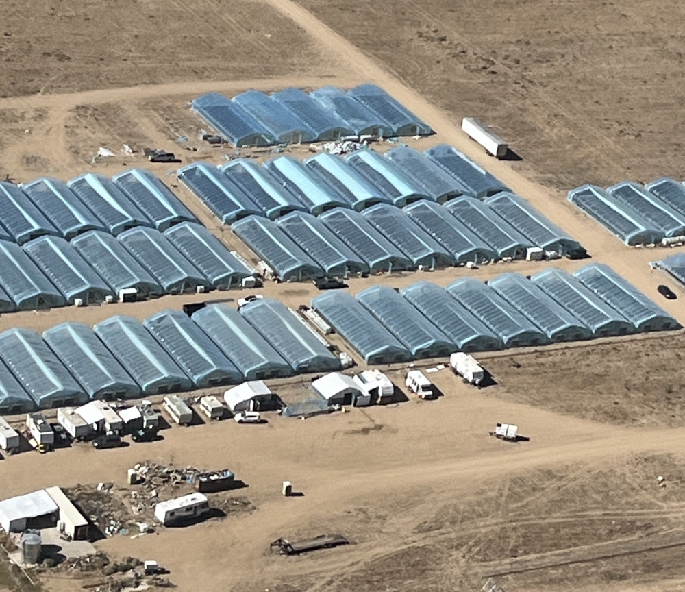 An aerial photo of the unlicensed cannabis cultivation site in Lancaster.